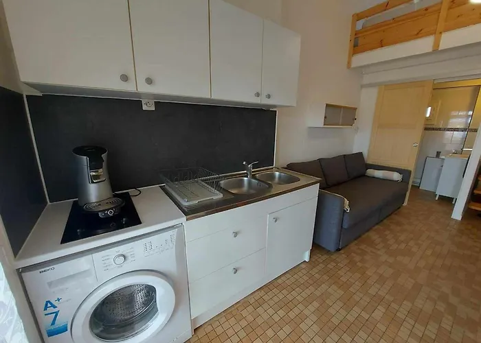 Mezzanine à 250m De La Pour 4 Personnes - Terrasse, Animaux Acceptés - Fr-1-423-300 Appartamento *